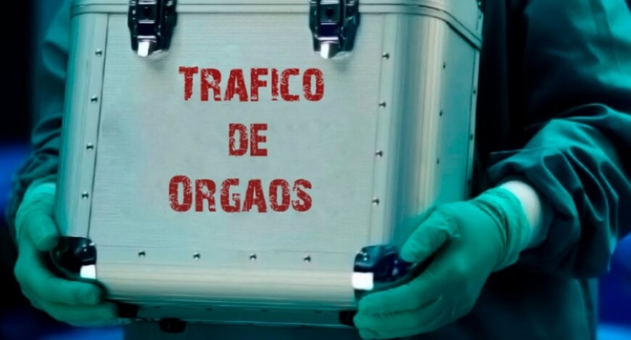 Curso grátis de Combate ao Tráfico de Órgãos